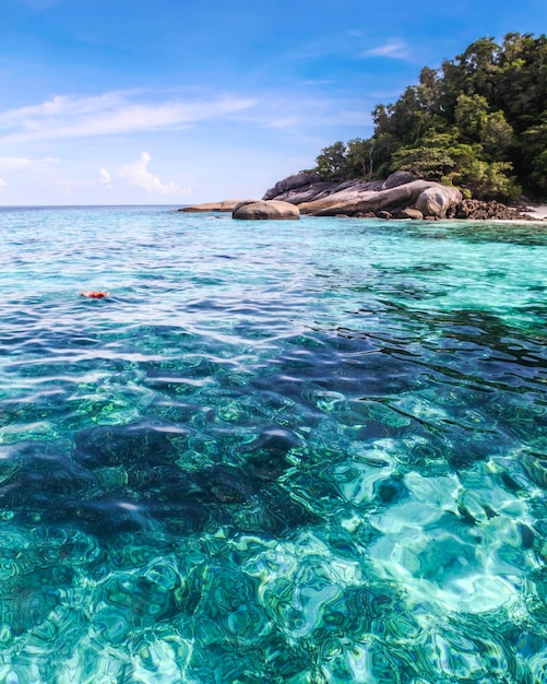사진 시밀란 섬의 산호초를 보기 전까지는 물이 습니다.