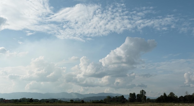 Фото Белые облака имеют причудливую сельскую форму. небо облачно и голубое.