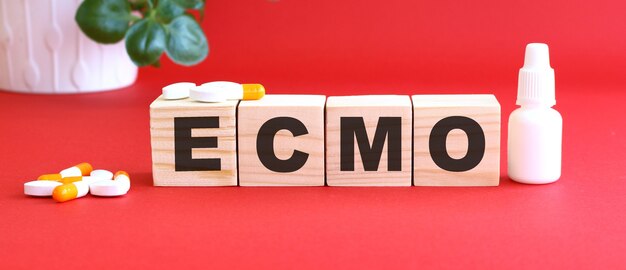 写真 ecmoという言葉は木製の立方体でできています