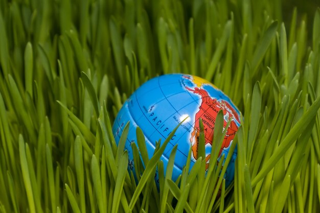 Фото Всемирный день земли, земной шар лежит на траве