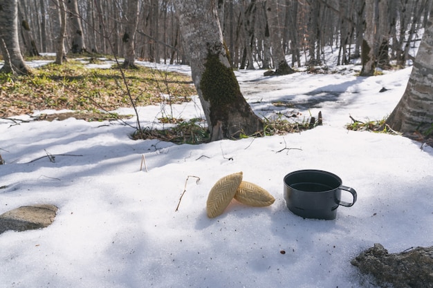 Thee drinken in de natuur, picknick