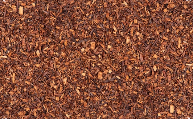 Thee rooibos op achtergrond, Aspalathus linearis.