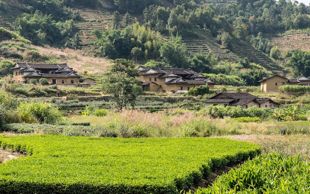Theeplantages rond Tulou op Unesco-erfgoed in de buurt van Xiamen