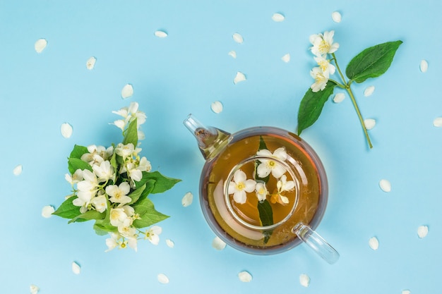 Theepot met jasmijnthee en jasmijnbloemen op een blauwe ondergrond. een verkwikkende drank die goed is voor je gezondheid.