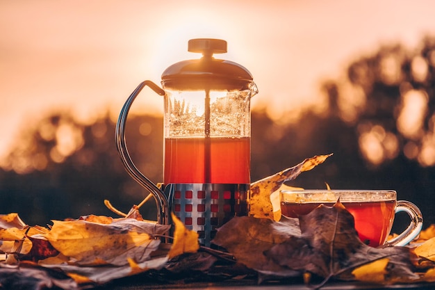 Theepot met thee en kopje in de buurt van herfstbladeren