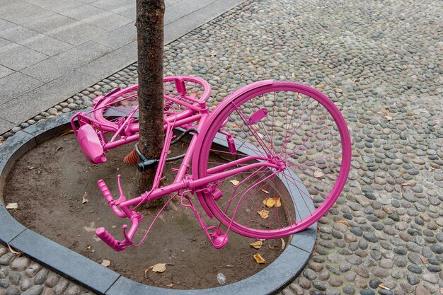 Theft bicycle tied to tree