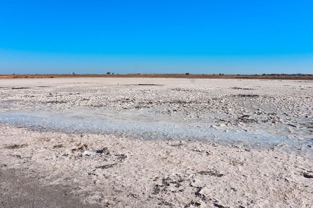 therapeutic mud in dried salt lake, salt lake, bottom of salt lake