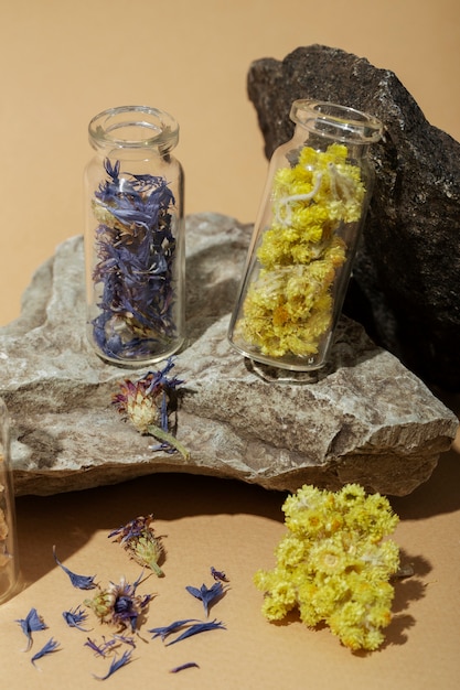 Photo therapy herbs and rocks arrangement