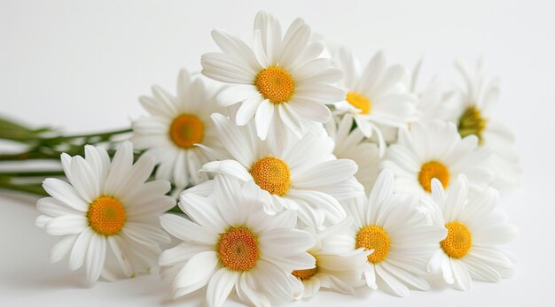 there are a bunch of white flowers on a white surface generative ai