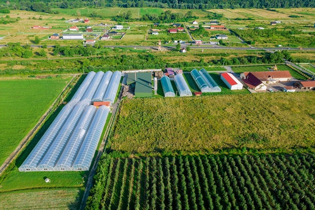 There are many large greenhouses near the road Growing vegetables