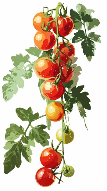 Photo there are many tomatoes on the vine with leaves on the branch generative ai