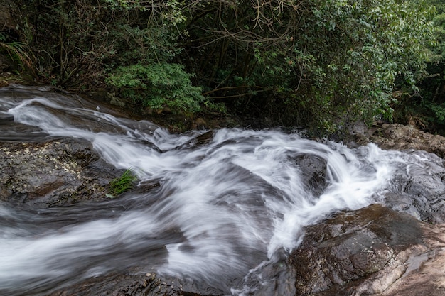 There are small waterfalls in the primeval forest. The water is very clear