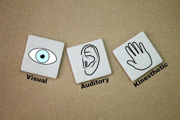 There are three main cognitive learning styles is visual auditory and kinesthetic What are the 3 lea