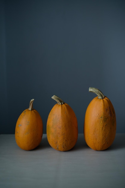 There are three oblong pumpkins on the table