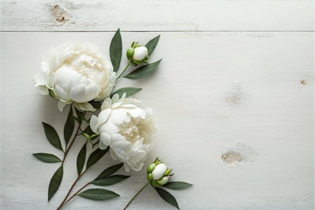 there are two white flowers on a white wooden table generative ai