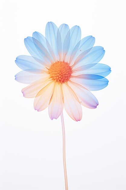 there is a blue and yellow flower with a white background generative ai