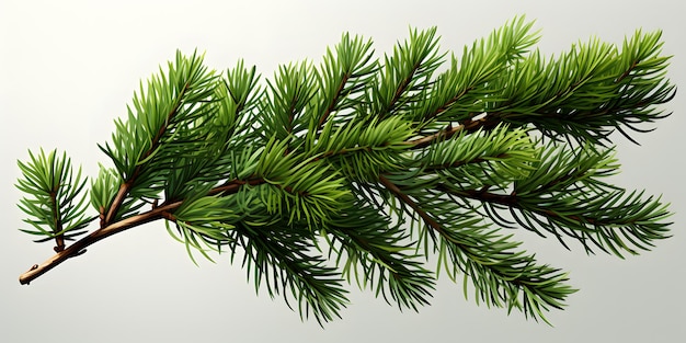 there is a branch of a pine tree with green needles Generative AI