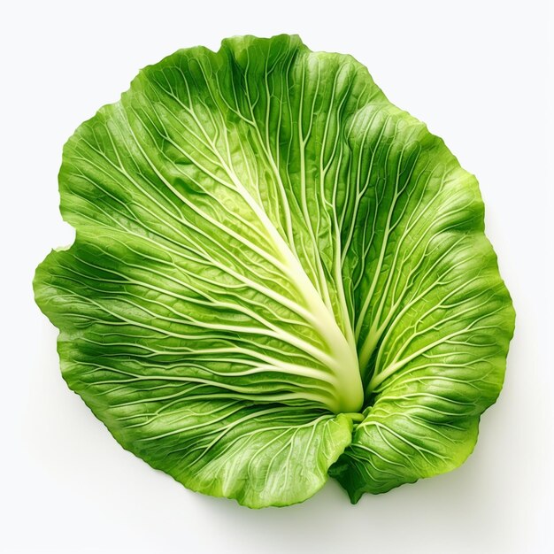 There is a green leaf of lettuce on a white surface generative ai