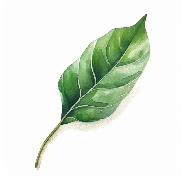 there is a green leaf that is on a white surface generative ai