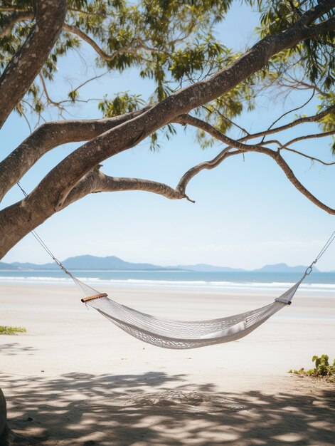 Foto c'è un'amaca appesa ad un albero sulla spiaggia.