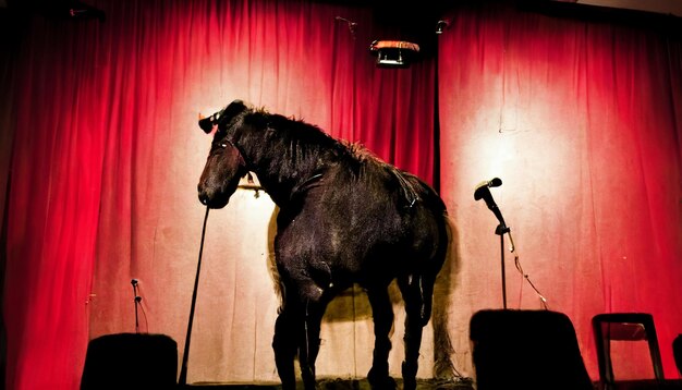 there is a horse standing on a stage with a microphone generative ai