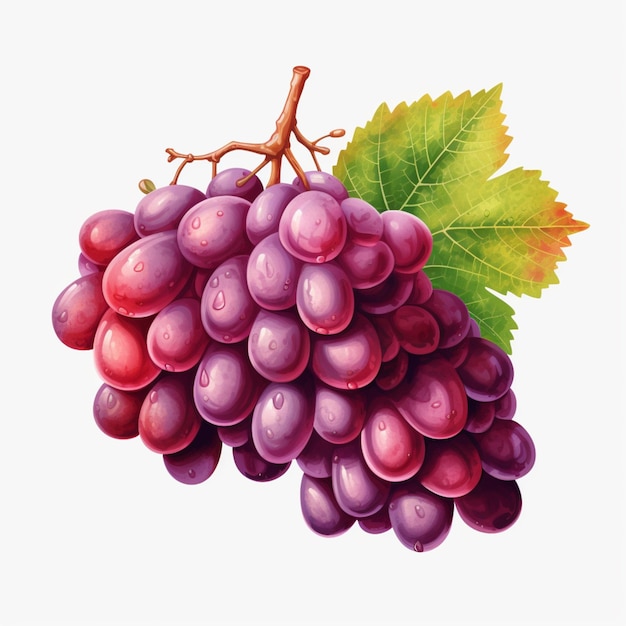 there is a painting of a bunch of grapes with a leaf generative ai