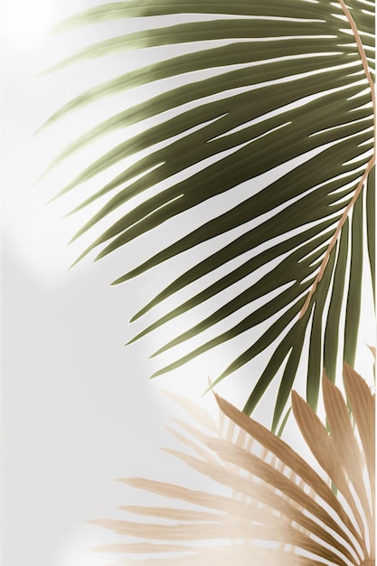 There is a picture of a palm leaf with a white background generative ai