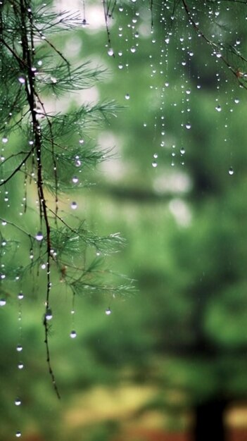 there is a picture of a tree with water droplets on it generative ai