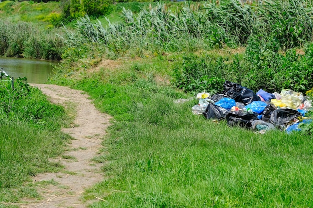 C'è un mucchio di rifiuti domestici e vari rifiuti domestici gettati da persone incoscienti sull'erba verde in natura. stop alla plastica.