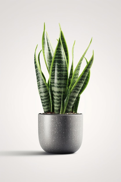 There is a potted plant with a green leafy plant in it generative ai