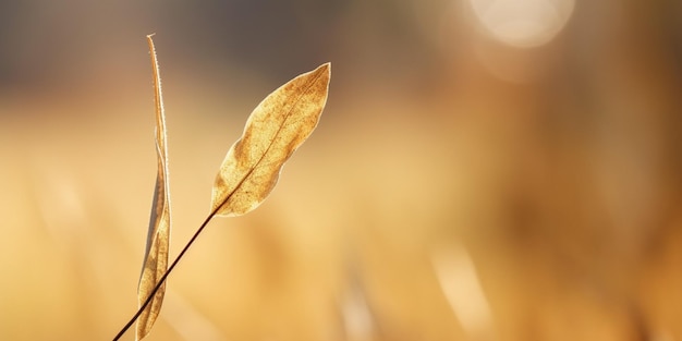 there is a small leaf that is sitting on a stem generative ai