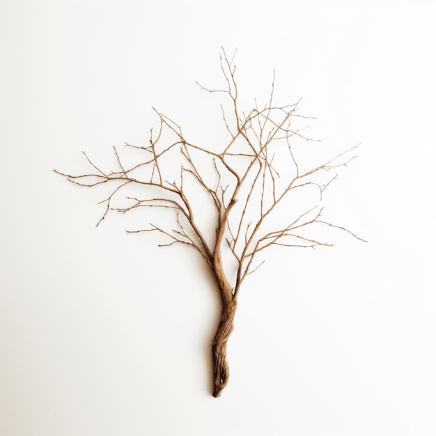 Photo there is a tree that is made of branches on a wall generative ai