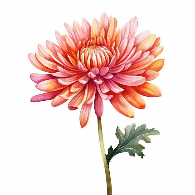 there is a watercolor painting of a flower on a white background generative ai