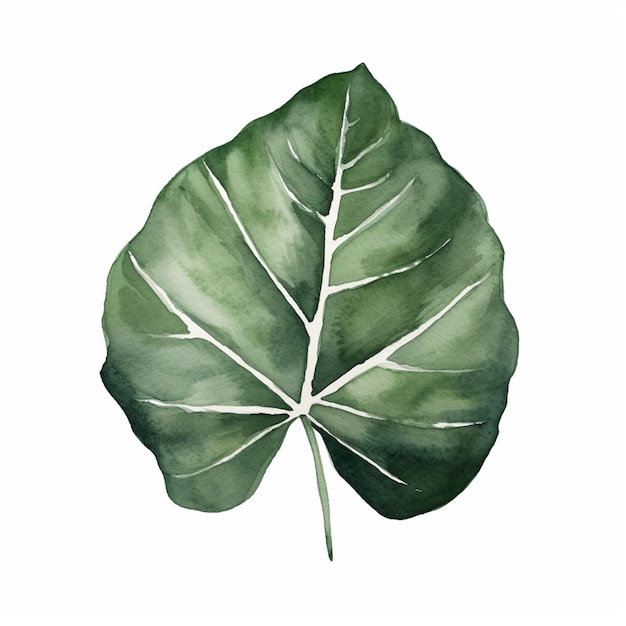 Photo there is a watercolor painting of a leaf on a white background generative ai