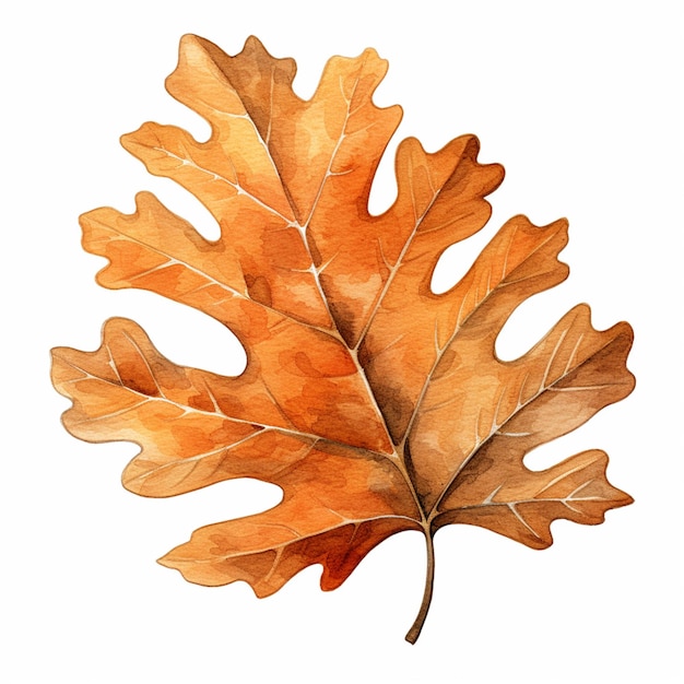 there is a watercolor painting of a leaf on a white background generative ai