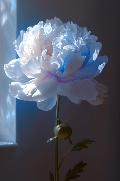 there is a white flower with a blue center in a vase generative ai