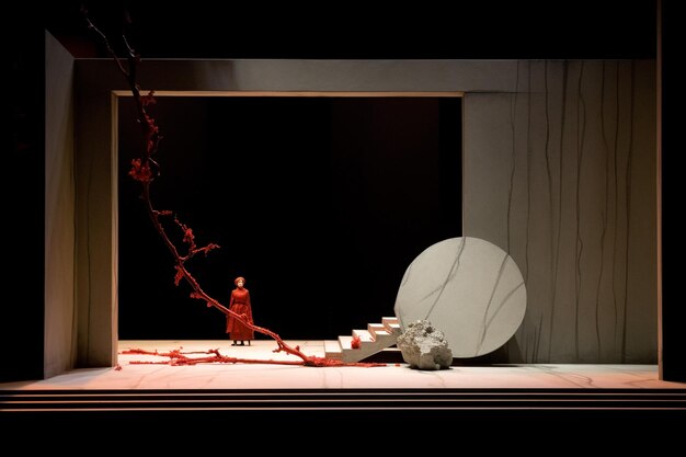 Photo there is a white plate sitting on a stage with a red flower generative ai