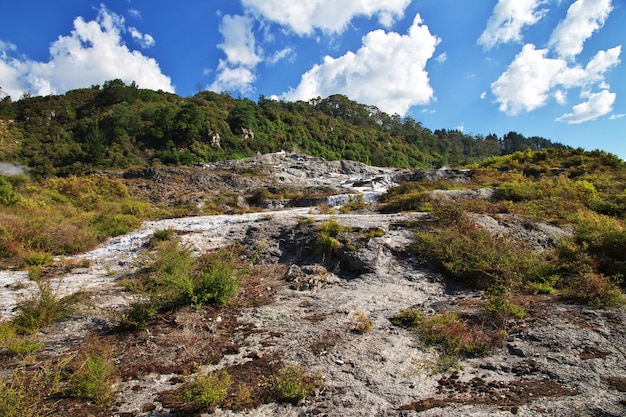 Thermisch park in Rotorua, Nieuw-Zeeland