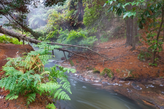 Thermische waterval op Kerosine Creek, Rotorua, Nieuw-Zeeland. Ongewone natuurlijke landschappen