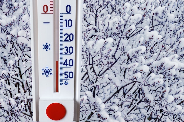 The thermometer on the background of a snow-covered tree shows minus 35 degrees. Heavy frost, difficult weather conditions_