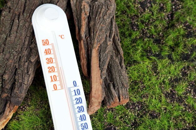 Photo thermometer on green grass background