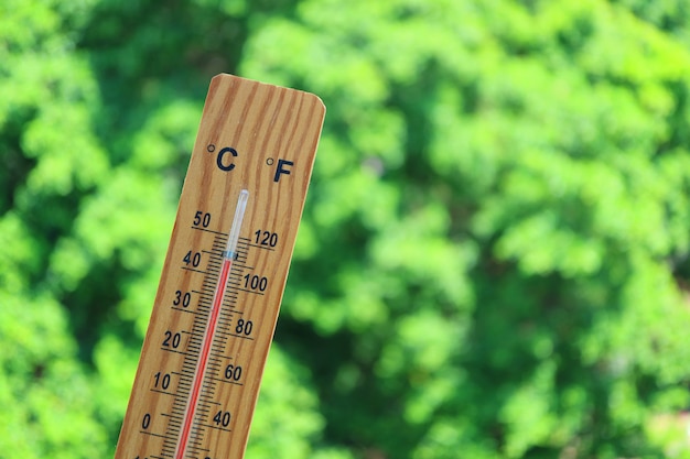 Thermometer met hoge temperatuur bij 44 graden Celsius tegen groen gebladerte in het zonlicht