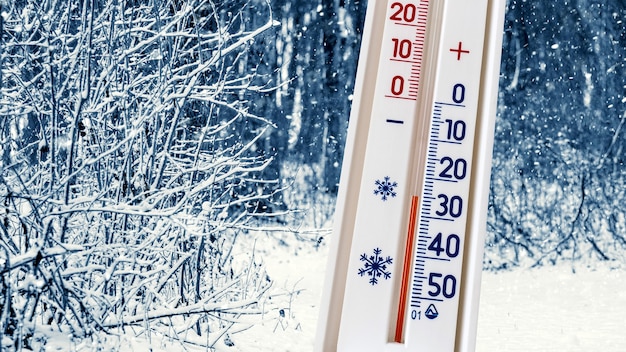 Foto thermometer op een achtergrond van besneeuwde bomen in het bos toont 25 graden onder nul