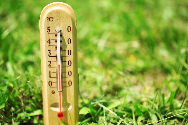 Thermometer op grasclose-up