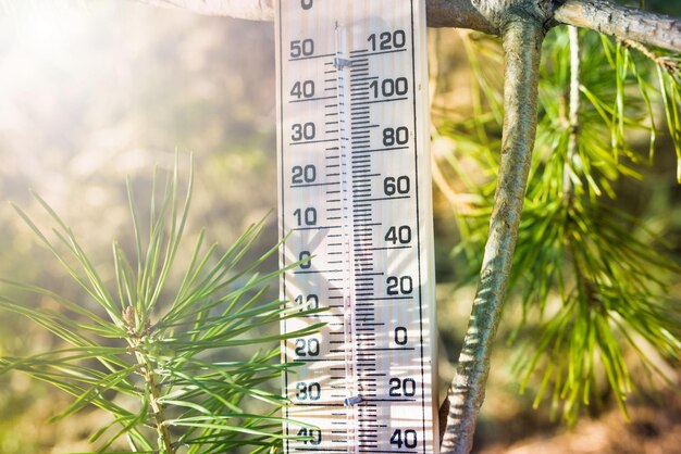 Thermometer on weather shows low temperatures in fahrenheit or celsius with pretty green colors.