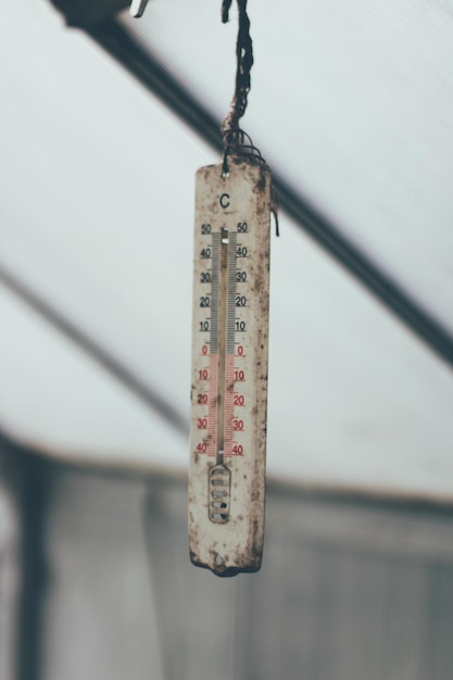 Photo thermometer