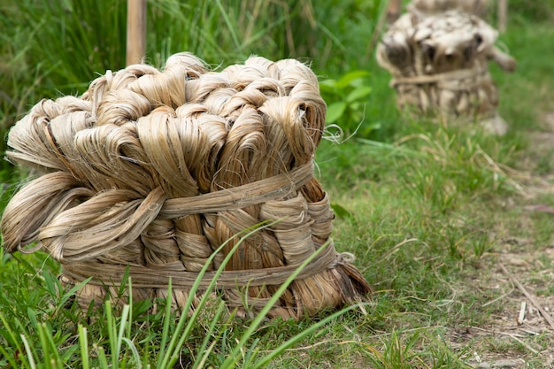 A thick brown  bundle of  raw jute has on the ground