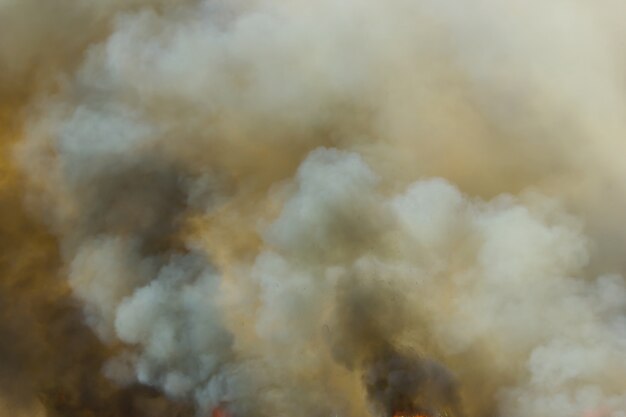 Denso fumo scuro in un incendio