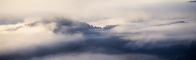 짙은 안개가 산 흑백 풍경 비네팅 파노라마 자연을 덮었습니다.