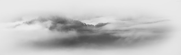 Густой туман покрыл горы черно-белый пейзаж виньетка панорама природа